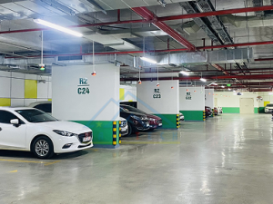 Hệ thống báo chỗ trống đỗ xe
